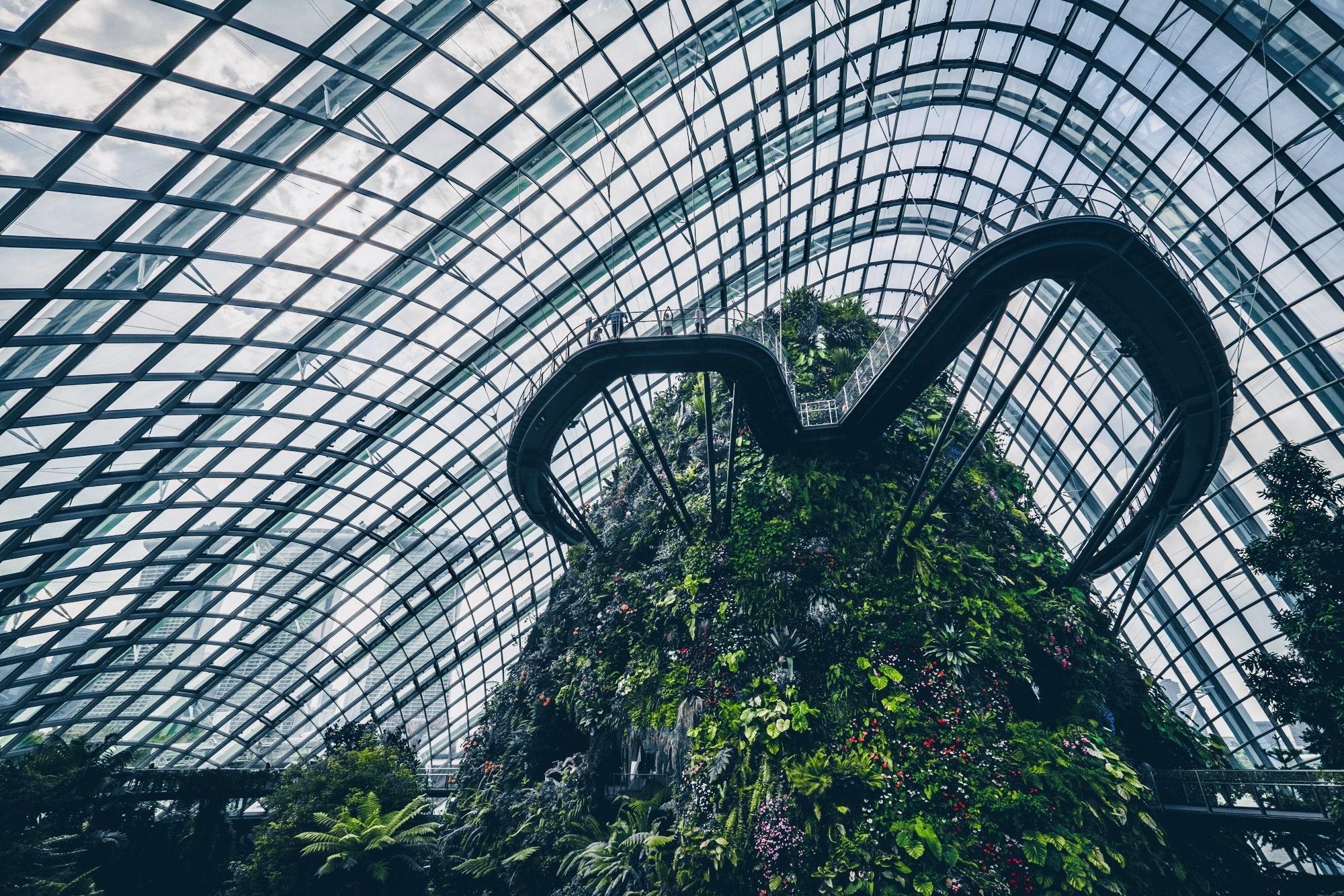 Cloud Forest Singapore