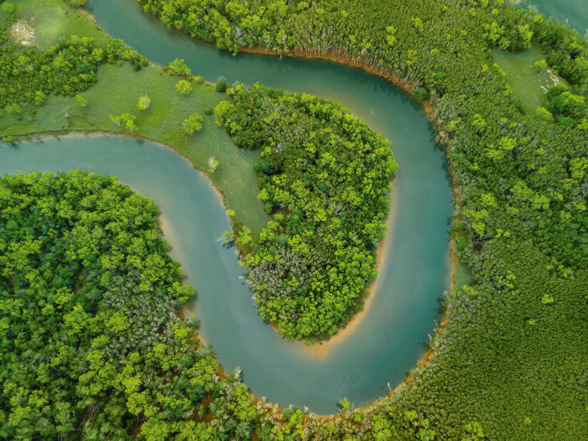 Aerial view of the river surrounded by dense green vegetation. Amazon River, South America.