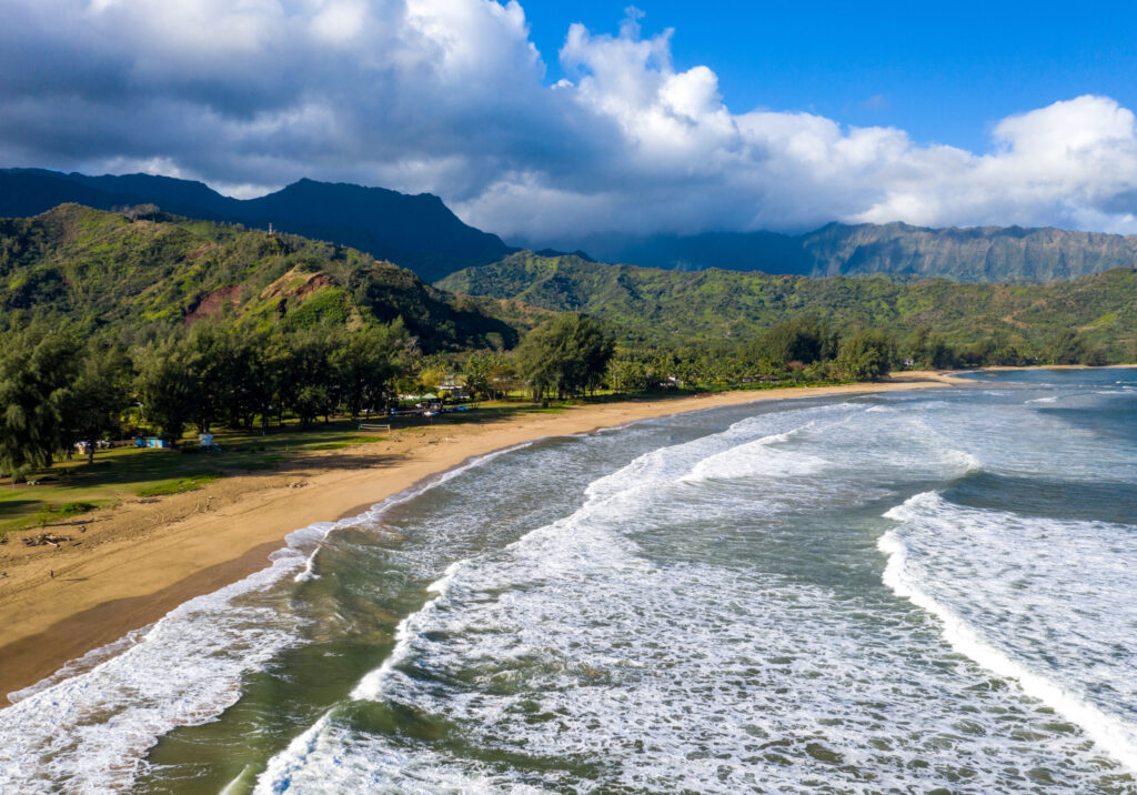 A panoramic view of the sustainable, biophilic architecture at 1 Hotel Hanalei Bay, featuring lush green roofs and native gardens overlooking the turquoise waters of Hanalei Bay.