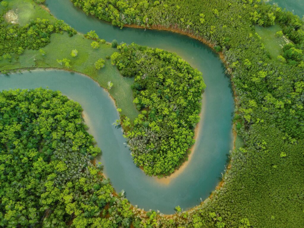 Aerial view of a winding river surrounded by dense green forest, illustrating the lush landscape of the Amazon River Basin.