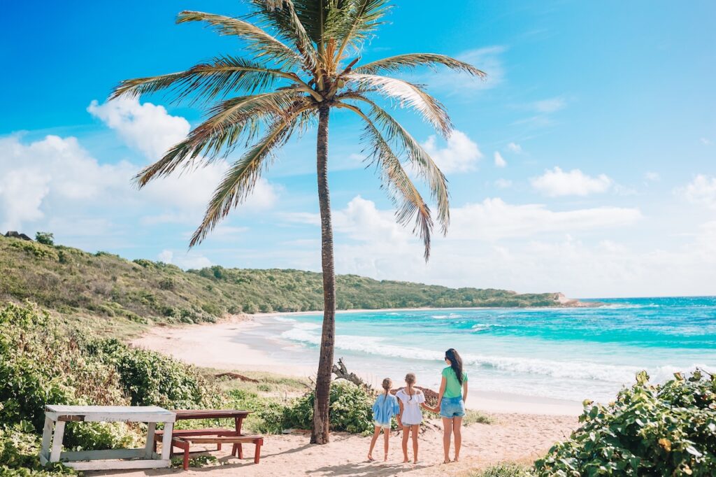 Family on a sunny, tropical beach with a palm tree and turquoise water, representing a beautiful shore excursion or arrival in Barbados.
