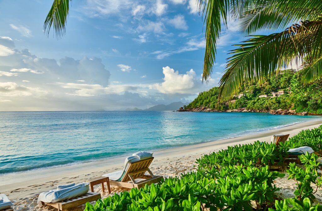 Ocean-side view of a secluded tropical beach with turquoise water and palm trees, highlighting the luxury setting for an all-inclusive, adults-only BVI escape.