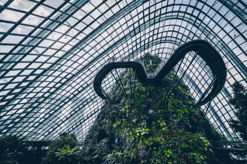 Mist-shrouded indoor waterfall and Cloud Mountain to experience Singapore.