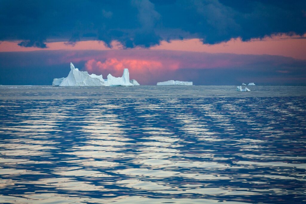 Massive white icebergs drifting through calm blue waters under a pink-hued sunset sky during an immersive Antarctic cruise.