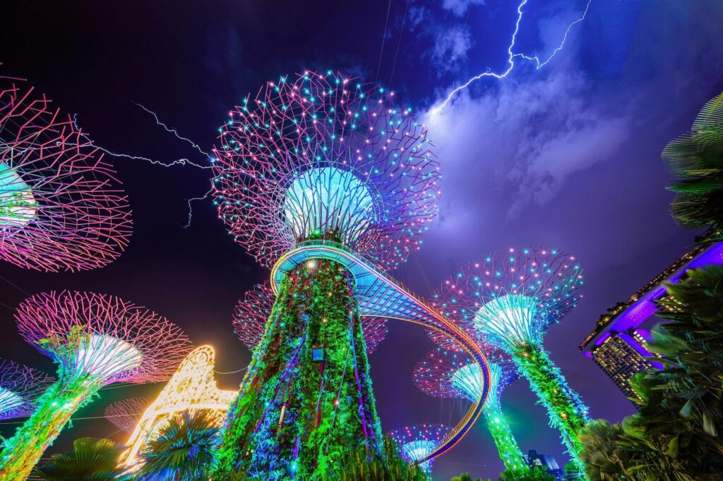 A stunning night view of the illuminated Supertree Grove at Gardens by the Bay, a must-see highlight of a Singapore vacation.