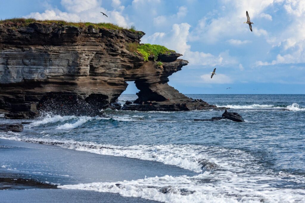 Waves crash against a volcanic beach and rock arch as seabirds soar, showcasing the wild beauty of Galapagos cruises.