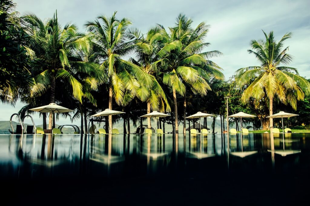Luxury resort pool framed by lush coconut palm trees and shade huts, perfect for an all-inclusive, adults-only British Virgin Islands escape.