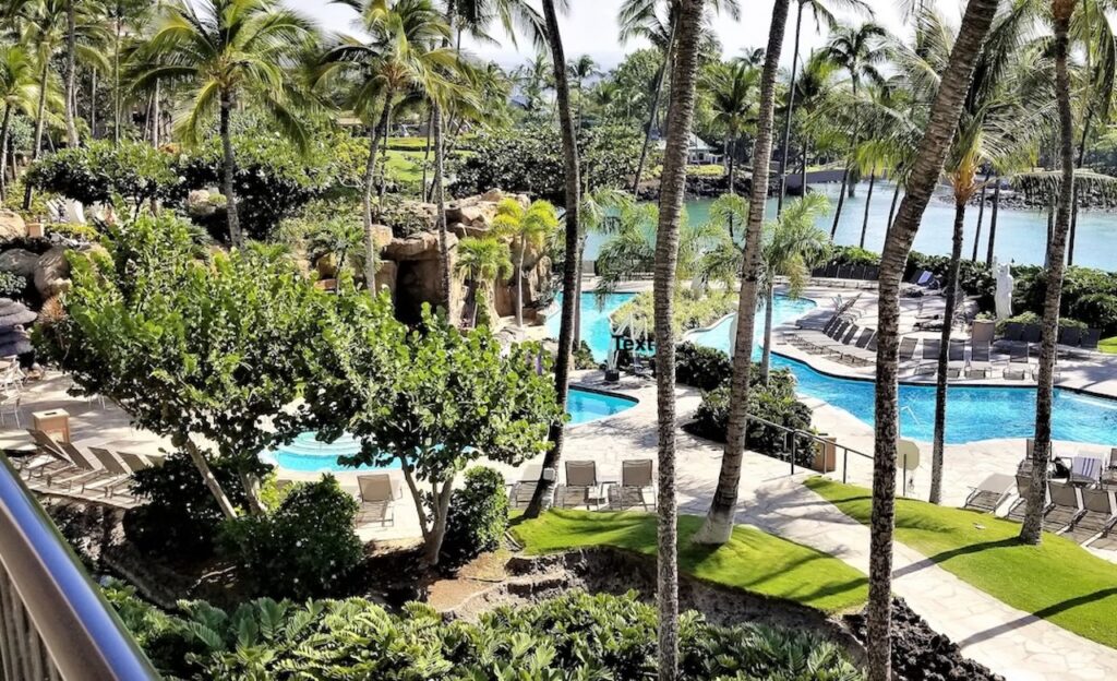 Luxury resort infinity pool surrounded by lush coconut palm trees, highlighting the serene tropical setting for an all-inclusive, adults-only British Virgin Islands escape.