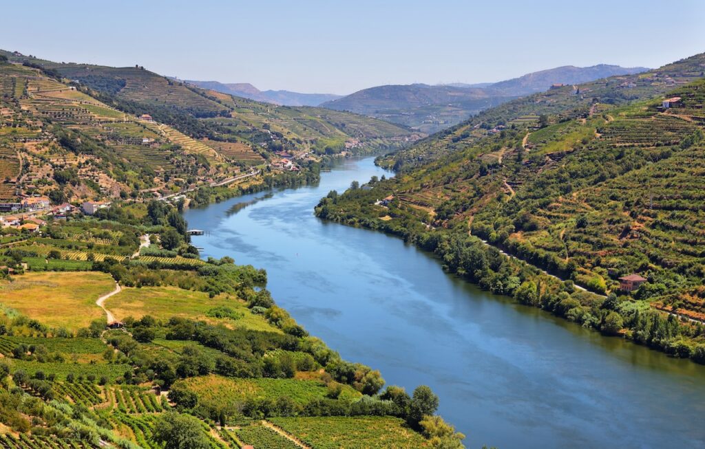 Sweeping view of a river winding through terraced green hills, representing a European wine region like the Douro Valley on a Sip & Sail cruise.