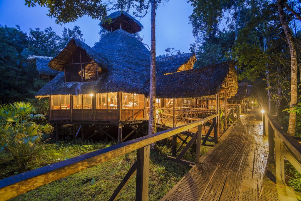 Bird’s-eye view of a winding jungle river, showcasing the remote adventure of the best Amazon Rainforest.