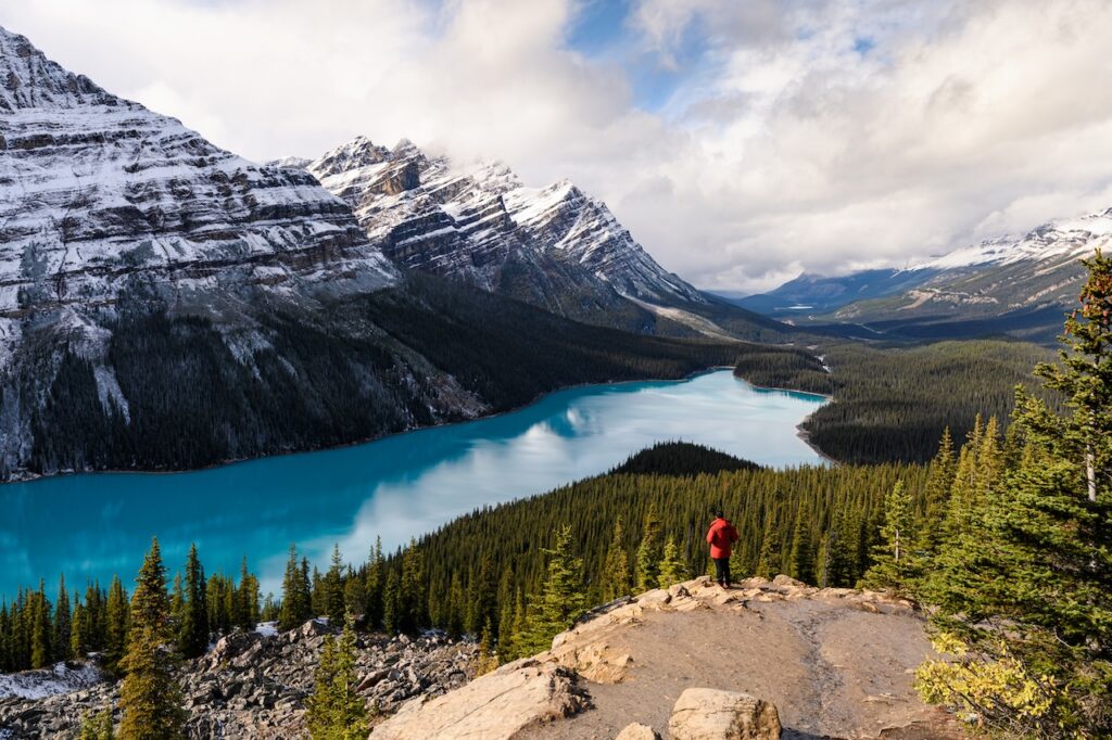A person wearing a red jacket stands on a rocky viewpoint, looking out at the stunning turquoise blue water of Peyto Lake, surrounded by dense pine forests and massive snow-capped Rocky Mountains under a dramatic sky.