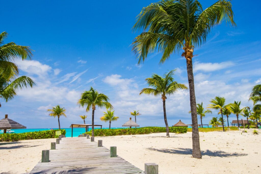 A wooden boardwalk leads through tropical greenery toward the crystal-clear turquoise waters of a white-sand beach in Turks and Caicos.