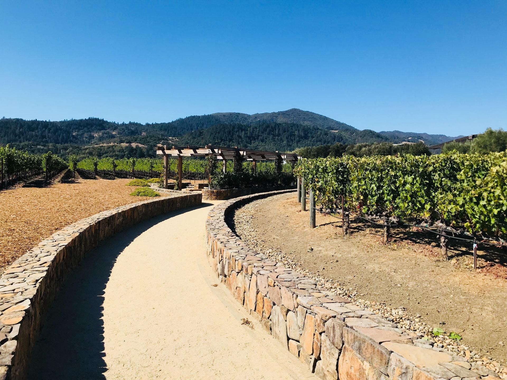 Explore Napa by bike.
