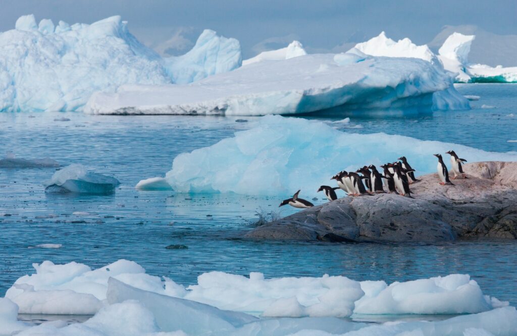 Antarctica cruise scott and thomas